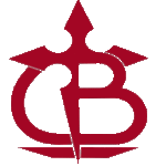 Don Diego de Bernuy