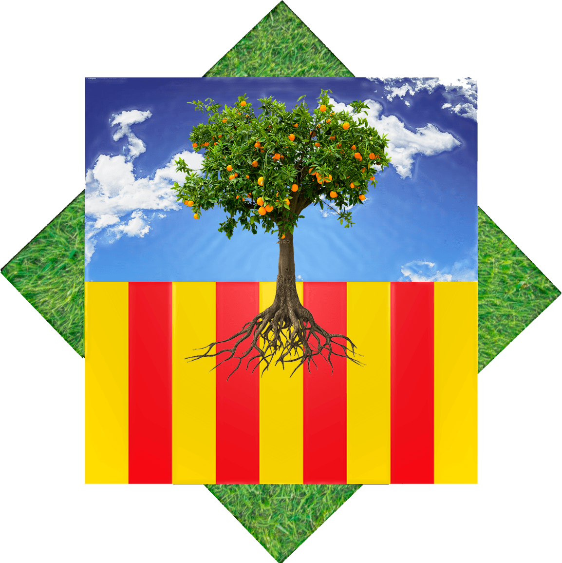 MIRALCAMP
