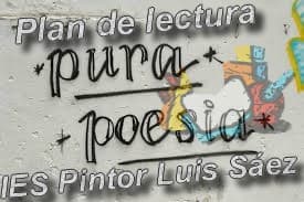 PINTOR LUIS SAEZ